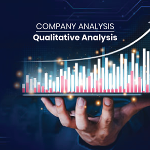 Company Analysis - Qualitative Analysis