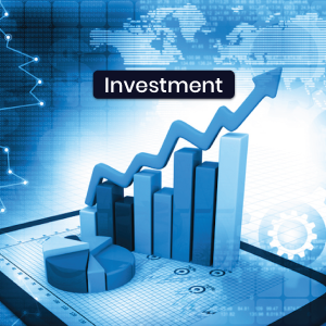 Investment